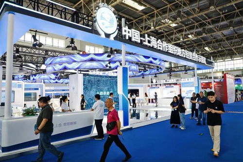 上合示范区亮相2024城博会 以数字住建驱动数字贸易，释放公共产品新价值